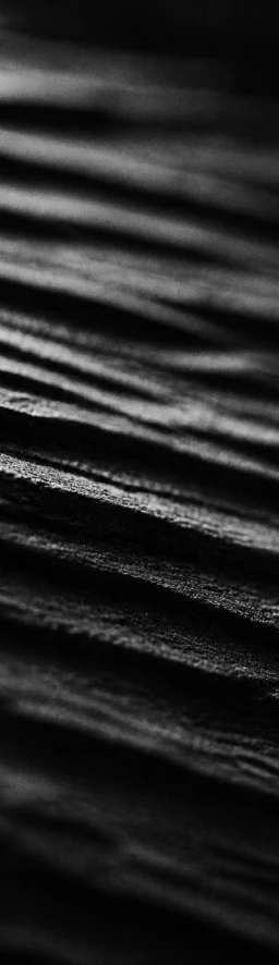 A soft crease catching light
